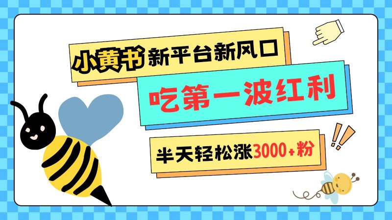 小黄书重磅来袭,新平台新风口,管理宽松,半天轻松涨3000粉,第一波红利等你来吃-一人公司创业项目 - 淘金吧
