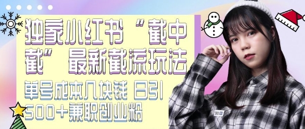 最新小红书截流玩法 独家截中截 单号成本几块钱 日引500+CY粉JZ粉-一人公司创业项目 - 淘金吧