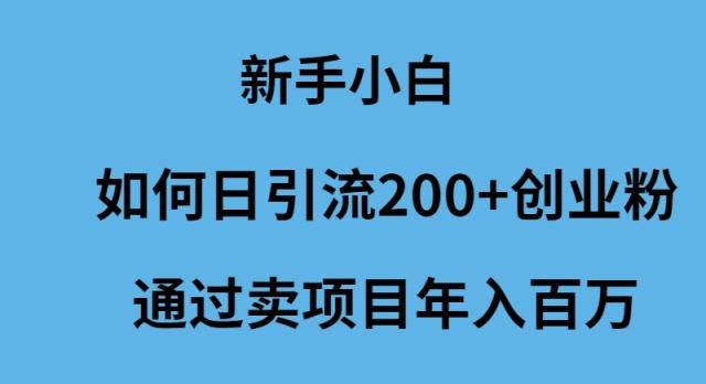 (9668期)新手小白如何日引流200+创业粉通过卖项目年入百万-一人公司创业项目 - 淘金吧