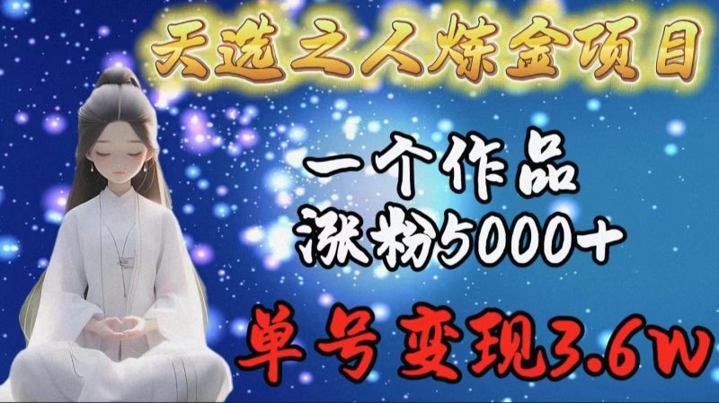 (9693期)天选之人炼金项目,一个作品涨粉5000+,单号变现3.6w-一人公司创业项目 - 淘金吧