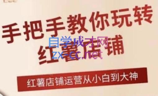 海燕老师·2024手把手教你玩转红薯店铺-一人公司创业项目 - 淘金吧