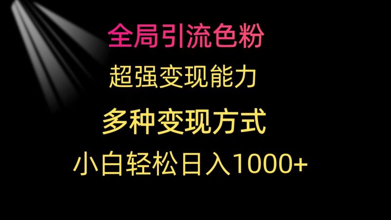 (9680期)全局引流色粉 超强变现能力 多种变现方式 小白轻松日入1000+-一人公司创业项目 - 淘金吧