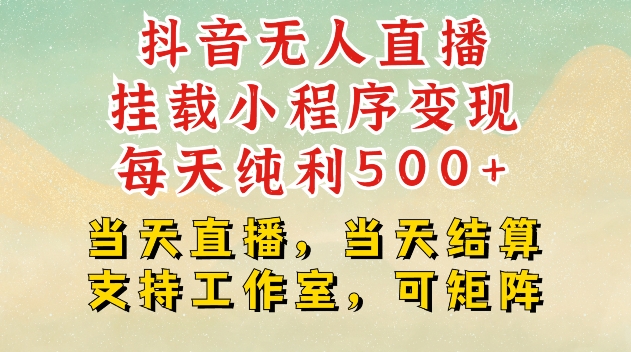 抖音无人直播挂载小程序变现每天纯利500+当天直播,当天结算支持工作室,可矩阵【揭秘】-一人公司创业项目 - 淘金吧