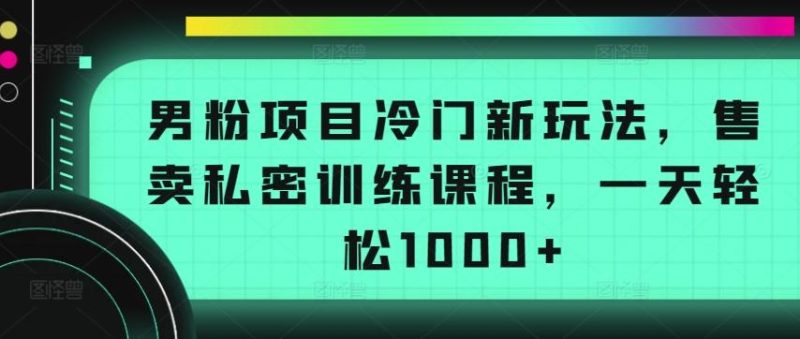 男粉项目冷门新玩法,售卖私密训练课程,一天轻松1000+【揭秘】-一人公司创业项目 - 淘金吧
