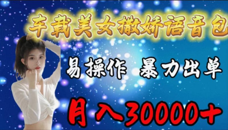 (9710期)车载女生撒娇语音包,易操作,暴力出单,月入30000+-一人公司创业项目 - 淘金吧