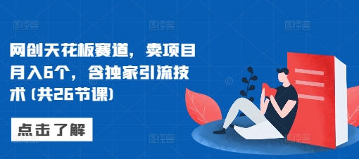 网创天花板赛道,卖项目月入6个,含独家引流技术(共26节课)-一人公司创业项目 - 淘金吧