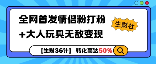 【生财36计】全网首发情侣粉打粉+大人玩具无敌变现-一人公司创业项目 - 淘金吧