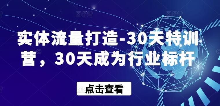 实体流量打造-30天特训营,30天成为行业标杆-一人公司创业项目 - 淘金吧