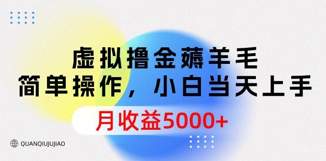 (9864期)虚拟撸金薅羊毛，简单操作，小白当天上手，月收益5000+-一人公司创业项目 - 淘金吧