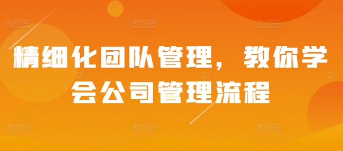 精细化团队管理,教你学会公司管理流程-一人公司创业项目 - 淘金吧