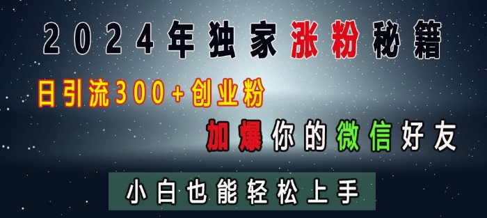 2024年独家涨粉秘籍,日引流300+创业粉,加爆你的微信好友,小白也能轻松上手-一人公司创业项目 - 淘金吧
