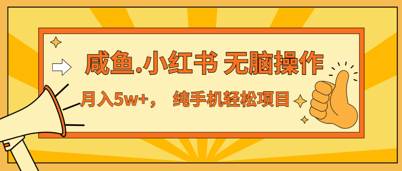 年前暴利项目，7天赚了2.6万，咸鱼,小红书 无脑操作-一人公司创业项目 - 淘金吧