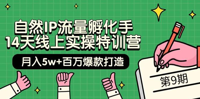 (9881期)自然IP流量孵化手 14天线上实操特训营【第9期】月入5w+百万爆款打造 (74节)-一人公司创业项目 - 淘金吧