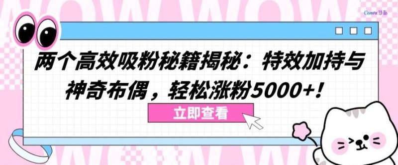 两个高效吸粉秘籍揭秘:特效加持与神奇布偶,轻松涨粉5000+【揭秘】-一人公司创业项目 - 淘金吧