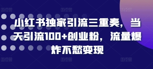 小红书独家引流三重奏，当天引流100+创业粉，流量爆炸不愁变现【揭秘】-一人公司创业项目 - 淘金吧