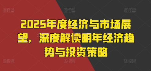 2025年度经济与市场展望,深度解读明年经济趋势与投资策略-一人公司创业项目 - 淘金吧