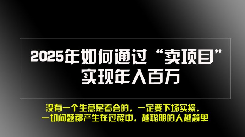 2025年如何通过“卖项目”实现年入百万-一人公司创业项目 - 淘金吧