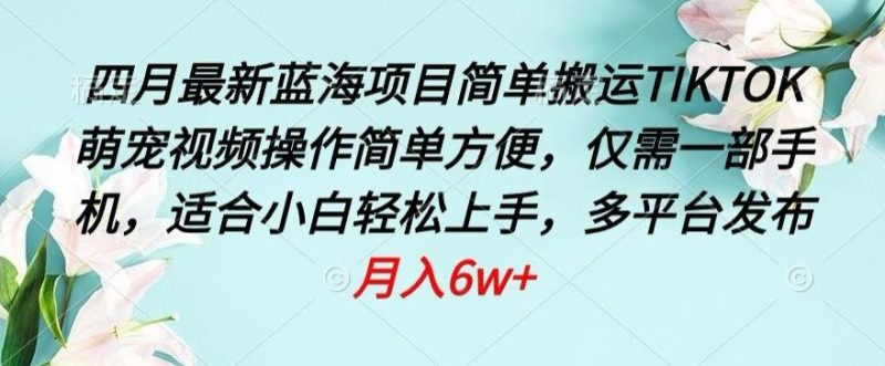 四月最新蓝海项目,简单搬运TIKTOK萌宠视频,操作简单方便,仅需一部手机【揭秘】-一人公司创业项目 - 淘金吧