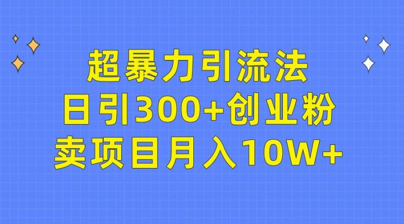 (9954期)超暴力引流法,日引300+创业粉,卖项目月入10W+-一人公司创业项目 - 淘金吧