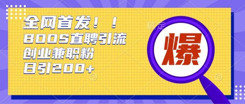 通过Boss直聘,每天轻松钓到200+多条创业大鱼的秘籍【揭秘】-一人公司创业项目 - 淘金吧