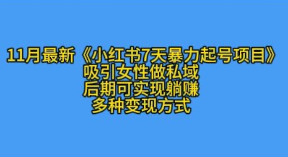 K总部落11月最新小红书7天暴力起号项目,吸引女性做私域【揭秘】-一人公司创业项目 - 淘金吧
