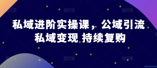 私域进阶实操课，公域引流 私域变现 持续复购-一人公司创业项目 - 淘金吧