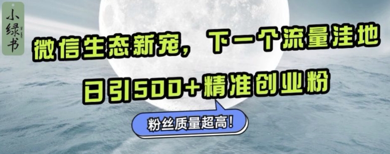 微信生态新宠小绿书:下一个流量洼地,日引500+精准创业粉,粉丝质量超高-一人公司创业项目 - 淘金吧