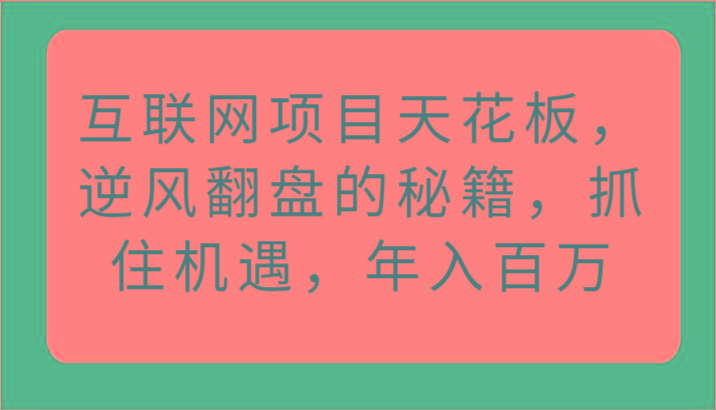 互联网项目天花板，逆风翻盘的秘籍，抓住机遇，年入百万-一人公司创业项目 - 淘金吧