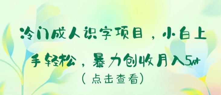 冷门成人识字项目，小白上手轻松，暴力创收月入5w+【揭秘】-一人公司创业项目 - 淘金吧