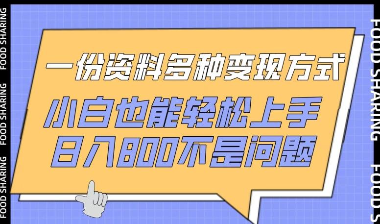 一份资料多种变现方式，小白也能轻松上手，日入800不是问题【揭秘】-一人公司创业项目 - 淘金吧