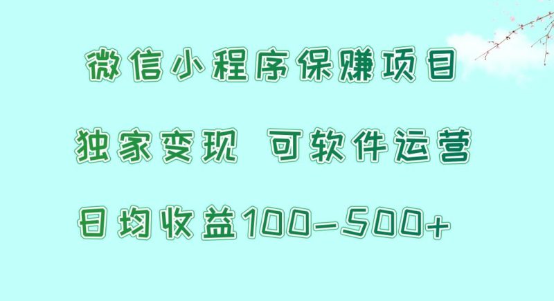 微信小程序保赚项目，日均收益100~500+，独家变现，可软件运营-一人公司创业项目 - 淘金吧