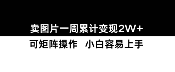 小红书【卖图片】一周累计变现2W+小白易上手-一人公司创业项目 - 淘金吧
