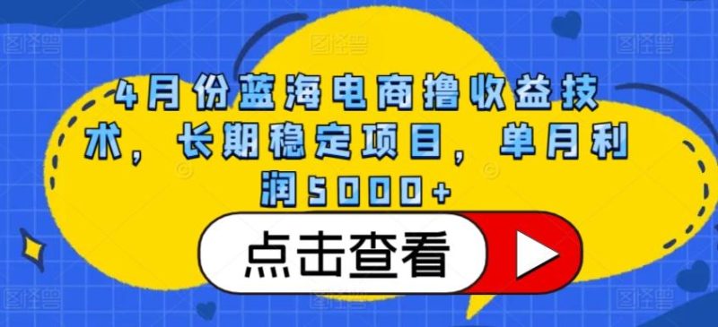 4月份蓝海电商撸收益技术，长期稳定项目，单月利润5000+【揭秘】-一人公司创业项目 - 淘金吧