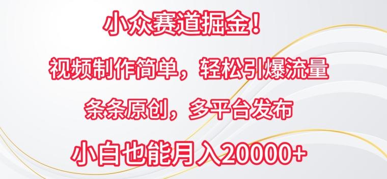 小众赛道掘金，视频制作简单，轻松引爆流量，条条原创，多平台发布【揭秘】-一人公司创业项目 - 淘金吧