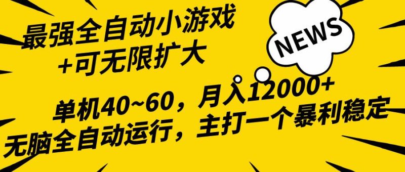(10046期)2024最新全网独家小游戏全自动，单机40~60,稳定躺赚，小白都能月入过万-一人公司创业项目 - 淘金吧