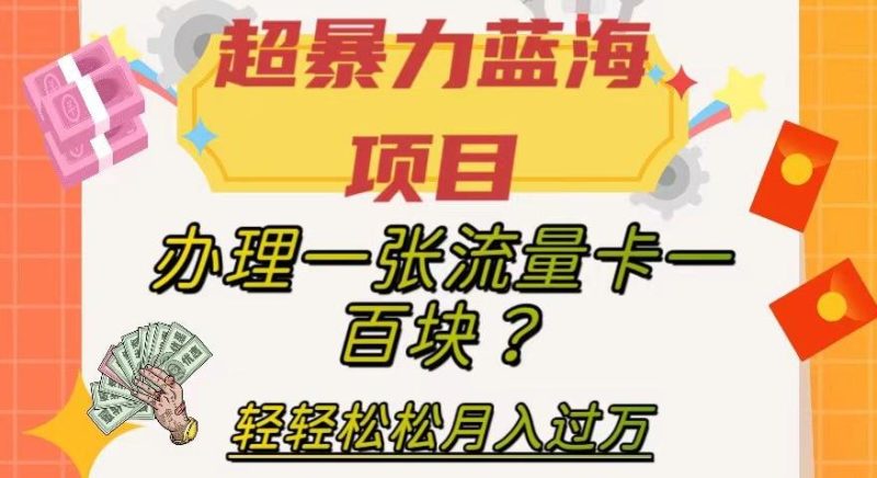 超暴力蓝海项目,办理一张流量卡一百块?轻轻松松月入过万,保姆级教程【揭秘】-一人公司创业项目 - 淘金吧