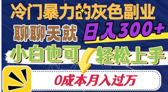 冷门暴利的副业项目，聊聊天就能日入300+，0成本月入过万【揭秘】-一人公司创业项目 - 淘金吧