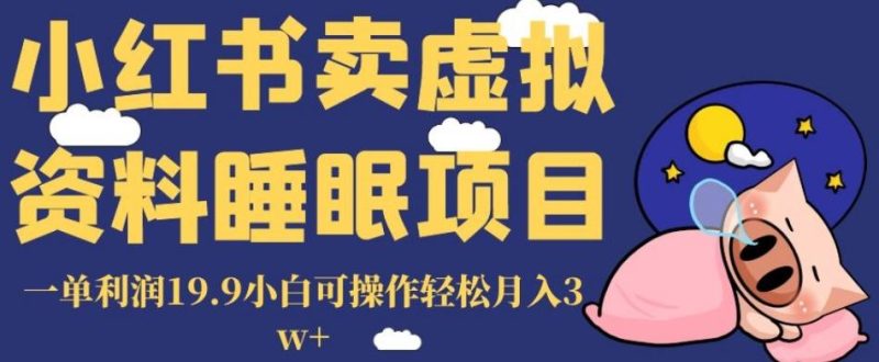 小红书卖虚拟资料睡眠项目,一单利润19.9小白可操作轻松月入3w+【揭秘】-一人公司创业项目 - 淘金吧