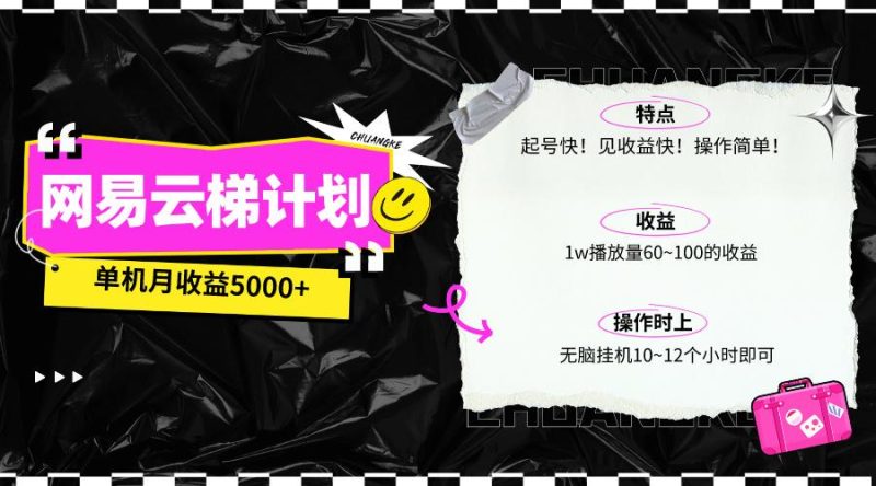 (10063期)最新网易云梯计划网页版,单机月收益5000+!可放大操作-一人公司创业项目 - 淘金吧