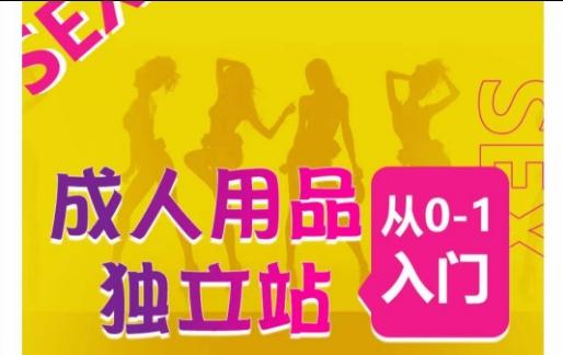 成人用品独立站从0-1入门，成品独立站运营全流程教学，七大好卖成品独立站推荐-一人公司创业项目 - 淘金吧