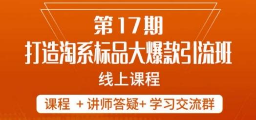 南掌柜-第17期打造淘系标品大爆款,5天线上课-一人公司创业项目 - 淘金吧
