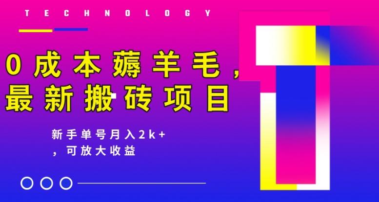 0成本薅羊毛，最新搬砖项目，新手单号月入2k+，可放大操作-一人公司创业项目 - 淘金吧
