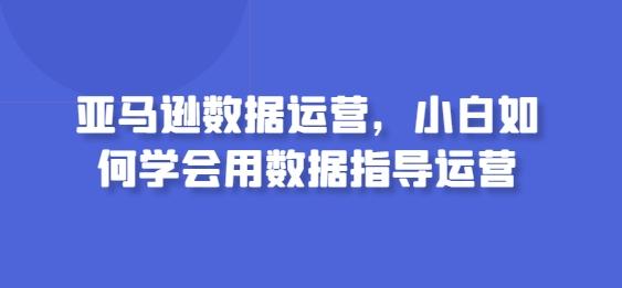 亚马逊数据运营，小白如何学会用数据指导运营-淘金吧副业资源站