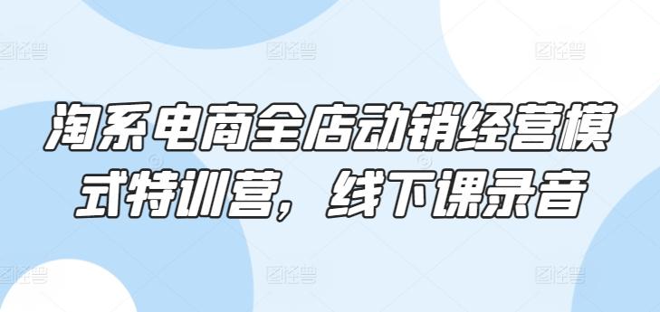 淘系电商全店动销经营模式特训营，线下课录音-一人公司创业项目 - 淘金吧