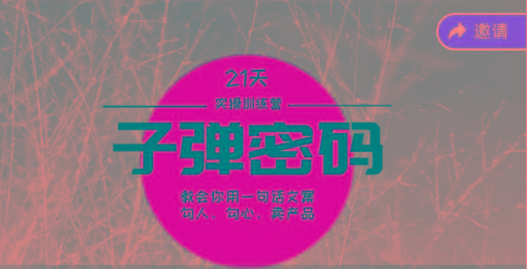 《子弹密码训练营》-用一句话文案勾人勾心卖产品，21天学到顶尖文案大师策略和技巧-一人公司创业项目 - 淘金吧