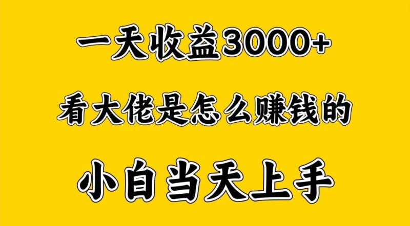 一天赚3000多，大佬是这样赚到钱的，小白当天上手，穷人翻身项目-淘金吧副业资源站