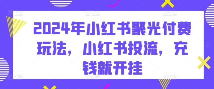 2024年小红书聚光付费玩法，小红书投流，充钱就开挂-淘金吧副业资源站