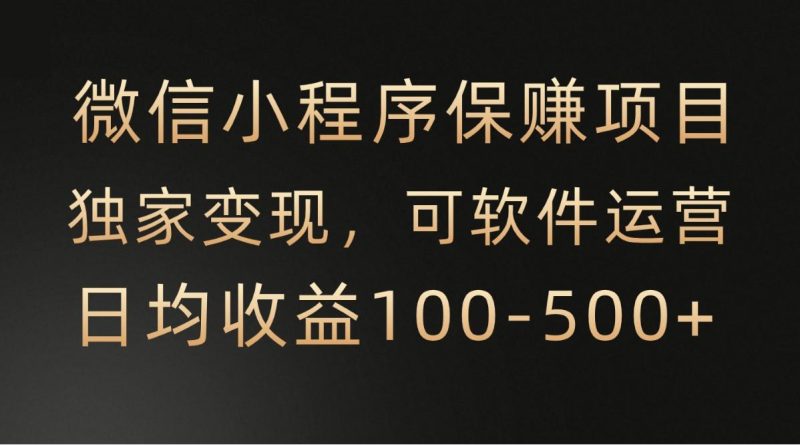 微信小程序,腾讯保赚项目,可软件自动运营,日均100-500+收益有保障-一人公司创业项目 - 淘金吧