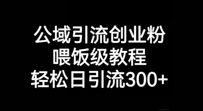 公域引流创业粉，喂饭级教程，轻松日引流300+【揭秘】-淘金吧副业资源站