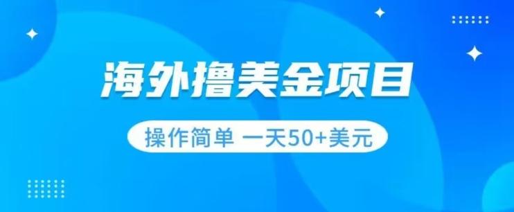 撸美金项目无门槛操作简单小白一天50+美刀-一人公司创业项目 - 淘金吧